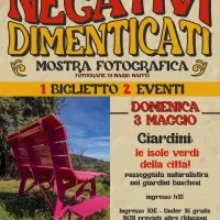 Giardini: le isole verdi della città